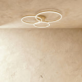 Dock Ceiling Light
