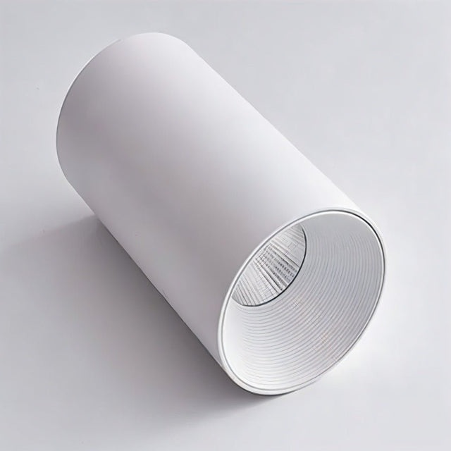 Dedus Downlight