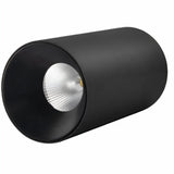 Dedus Downlight