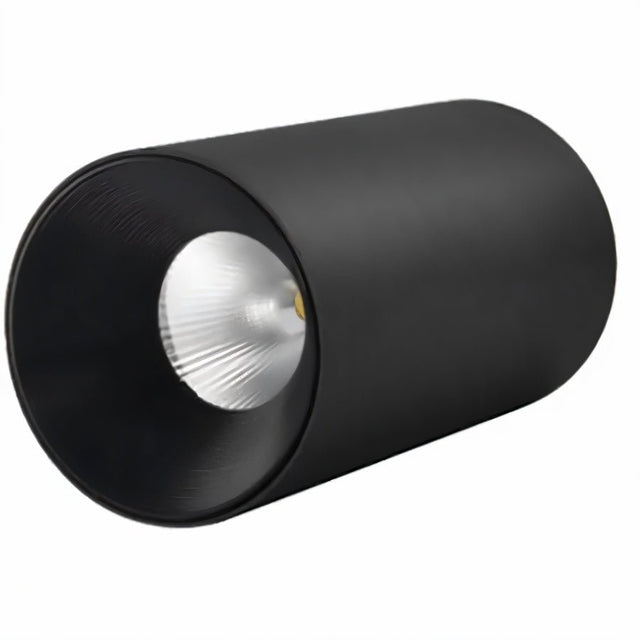 Dedus Downlight