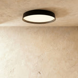 Ebenweiler Ceiling Lamp
