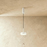 Ejby Pendant Light
