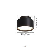Eltang Ceiling Light