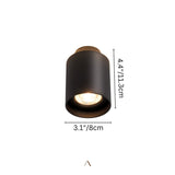Eltang Ceiling Light