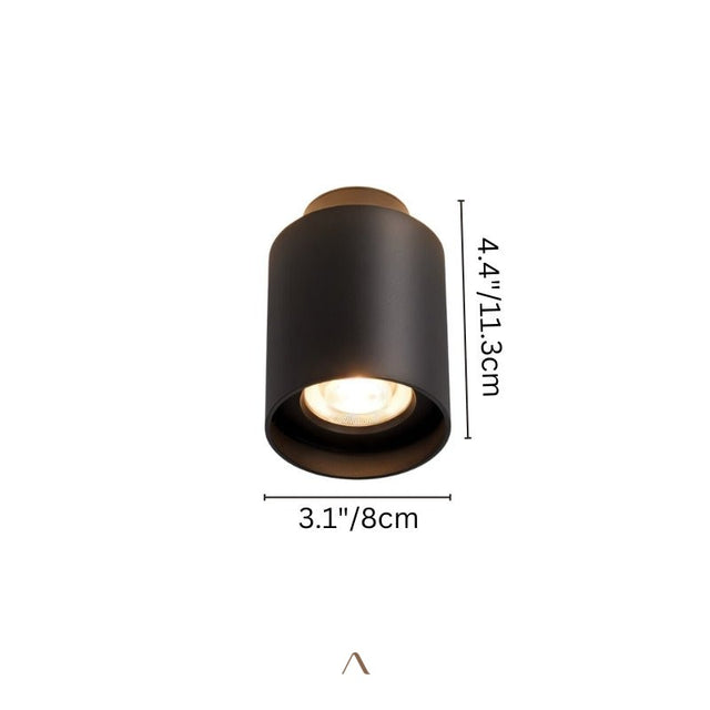 Eltang Ceiling Light