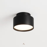 Eltang Ceiling Light