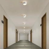 Eltang Ceiling Light