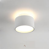 Eltang Ceiling Light