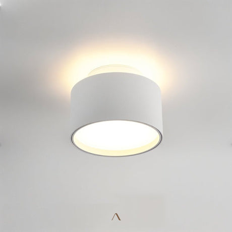 Eltang Ceiling Light