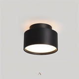 Eltang Ceiling Light