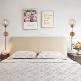 Svartso Wall Sconce