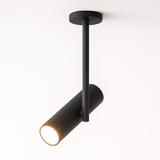 Aalum Ceiling Light