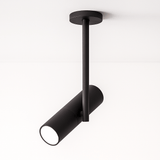 Aalum Ceiling Light