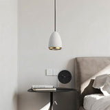 Erpel Pendant Light
