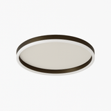 Hitch Ceiling Light