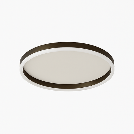 Hitch Ceiling Light