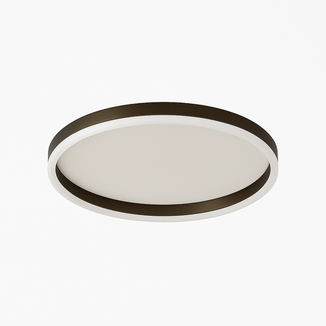 Hitch Ceiling Light