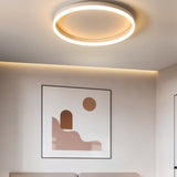 Hitch Ceiling Light