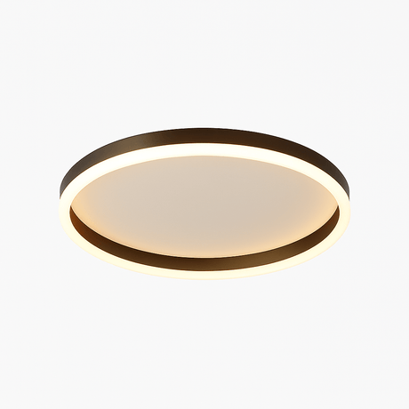 Hitch Ceiling Light