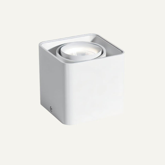Tellervo Downlight