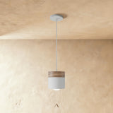 Exposure Pendant Light