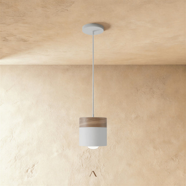 Exposure Pendant Light