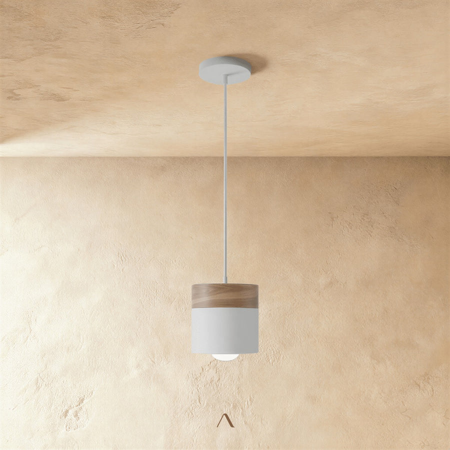 Exposure Pendant Light