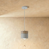 Exposure Pendant Light