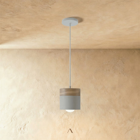Exposure Pendant Light