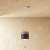 Exposure Pendant Light