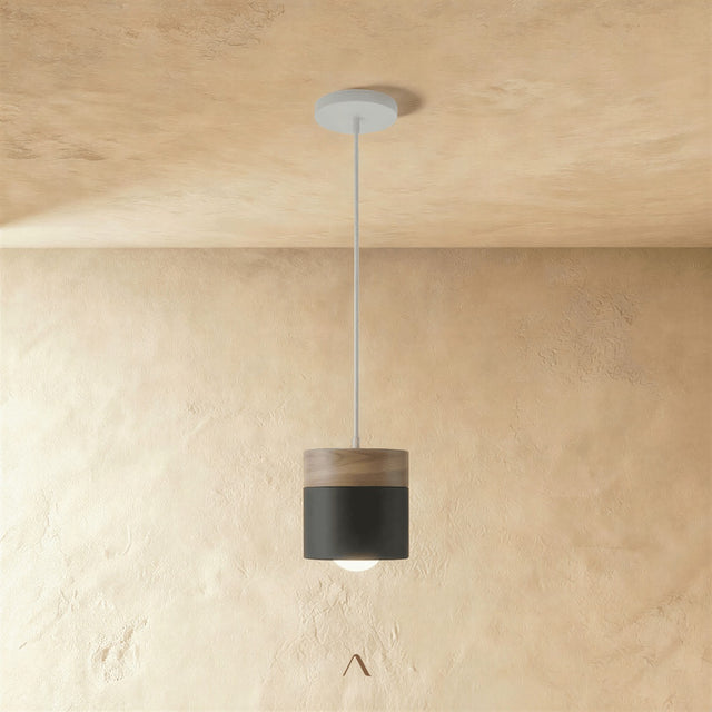Exposure Pendant Light