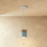 Exposure Pendant Light