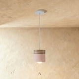 Exposure Pendant Light