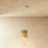 Exposure Pendant Light