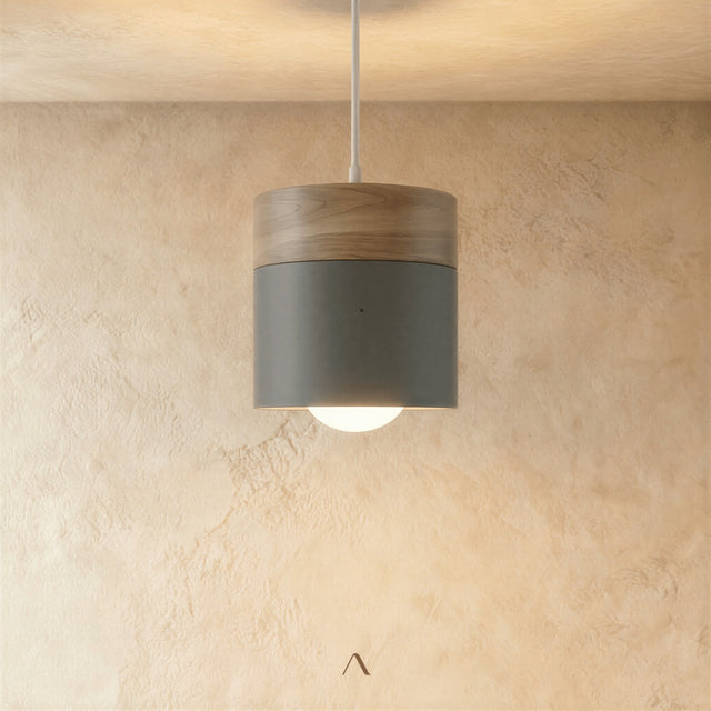 Exposure Pendant Light