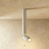 Fedje Downlight