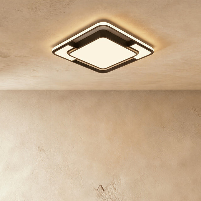 Fluke Ceiling Light