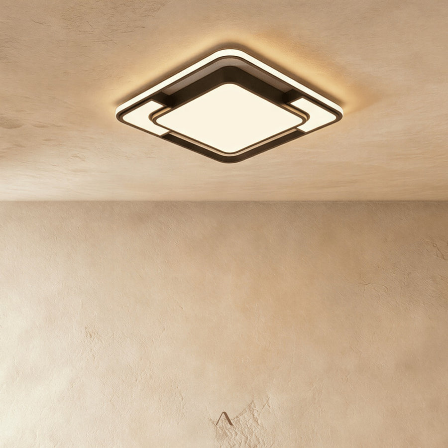 Fluke Ceiling Light