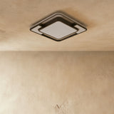 Fluke Ceiling Light
