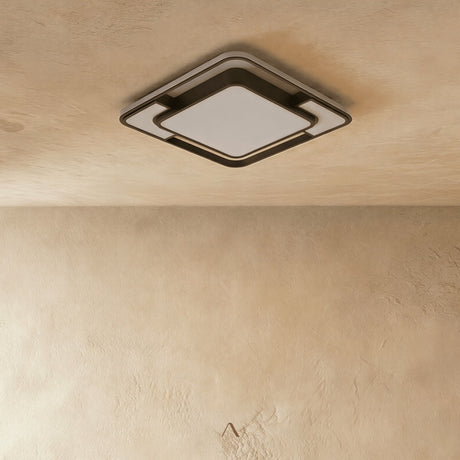 Fluke Ceiling Light