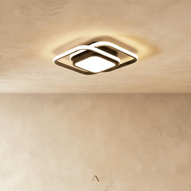 Fluke Ceiling Light