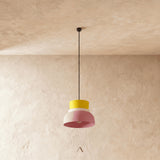 Focus Pendant Light