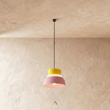 Focus Pendant Light