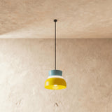 Focus Pendant Light