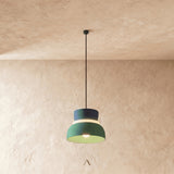 Focus Pendant Light