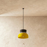 Focus Pendant Light