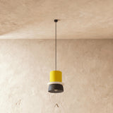 Focus Pendant Light