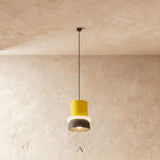 Focus Pendant Light