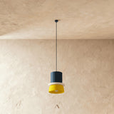 Focus Pendant Light