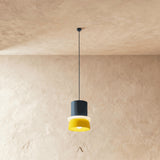 Focus Pendant Light